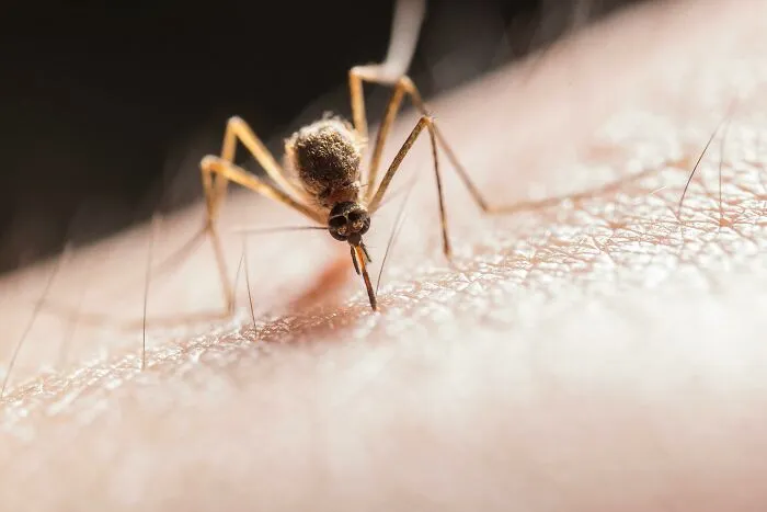 Scientists Reveal 37 Of The Most Terrifying Things That Went Wrong In Their Labs
