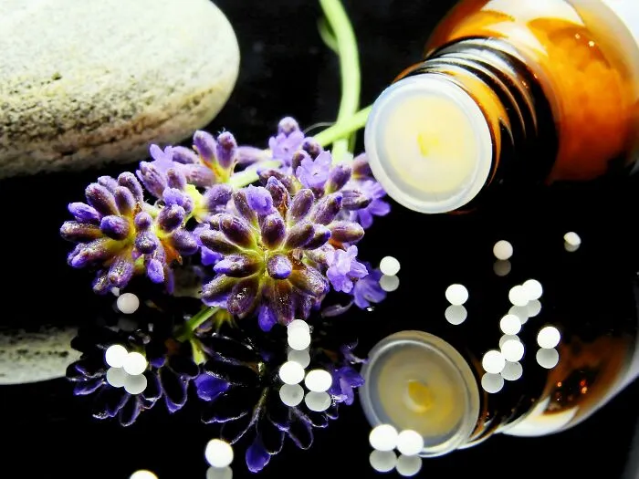 Medicinal Plant Chemistry - Northern Michigan University