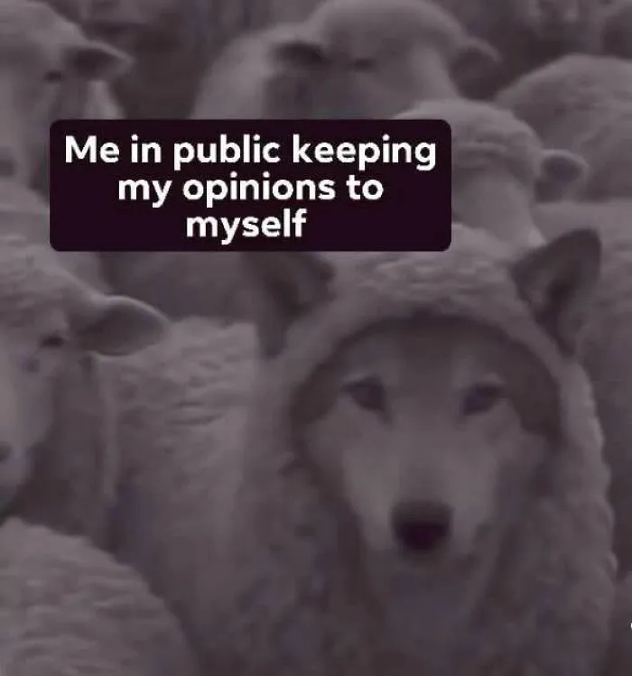 50 Laugh-Out-Loud Funny Memes That Are As Entertaining As They Are Random