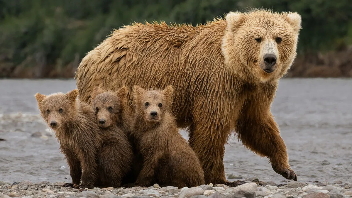 The 1839 Awards Have Announced The Winners Of The 2025 Photographer Of The Year Contest (39 Pics)