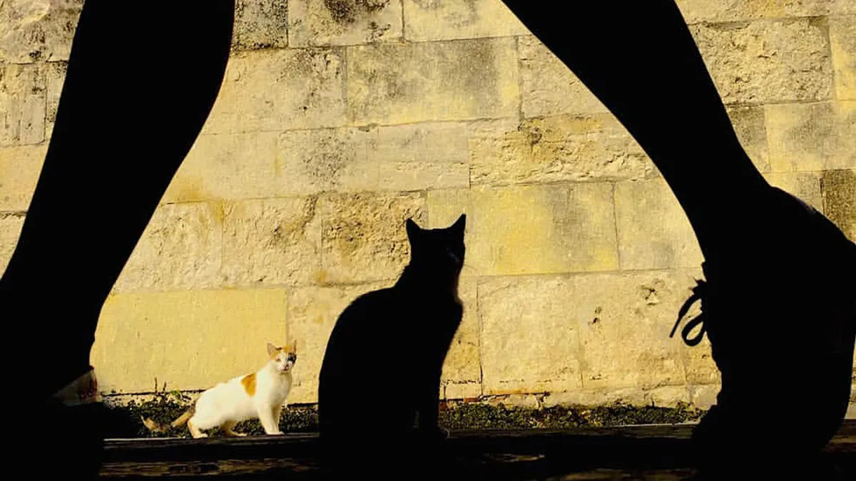 This Account Shares Some Of The Most Beautiful Wildlife Photos Ever Taken (25 Pics)