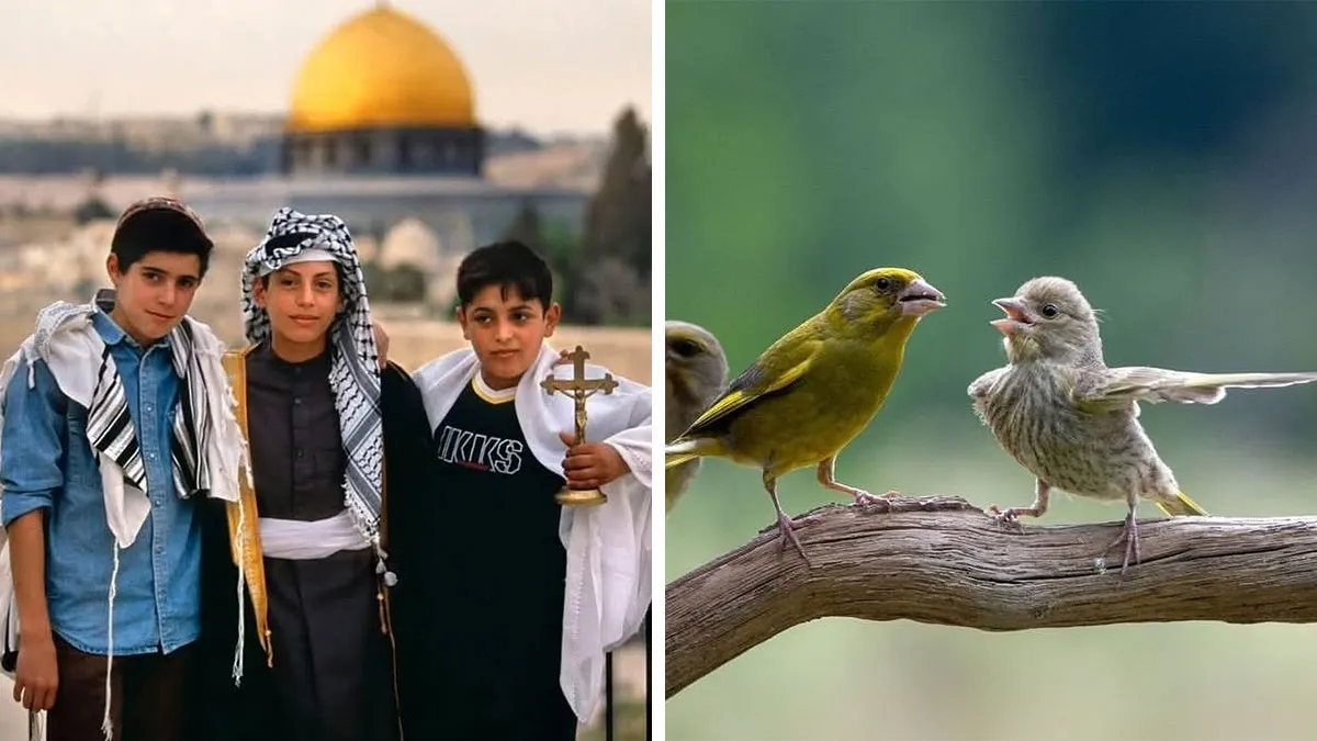 30 Of The Most Interesting Images Picked By “The Decisive Moments Magazine” (New Pics)