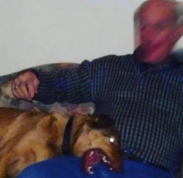 Hombre en sofá con perro mordiendo fuerte antes de un desastre, captura del momento crucial antes del conflicto.