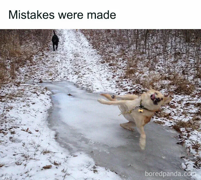 Poor Doggo