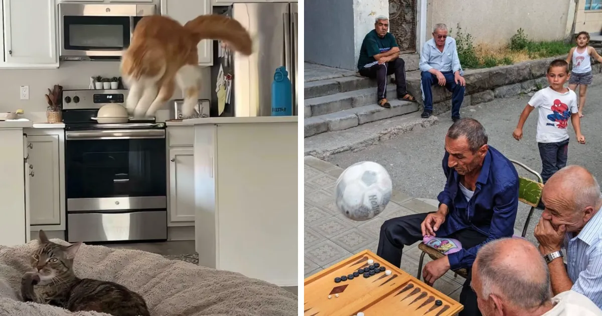 24 Fotos tomadas momentos antes de un desastre que te harán encogerte