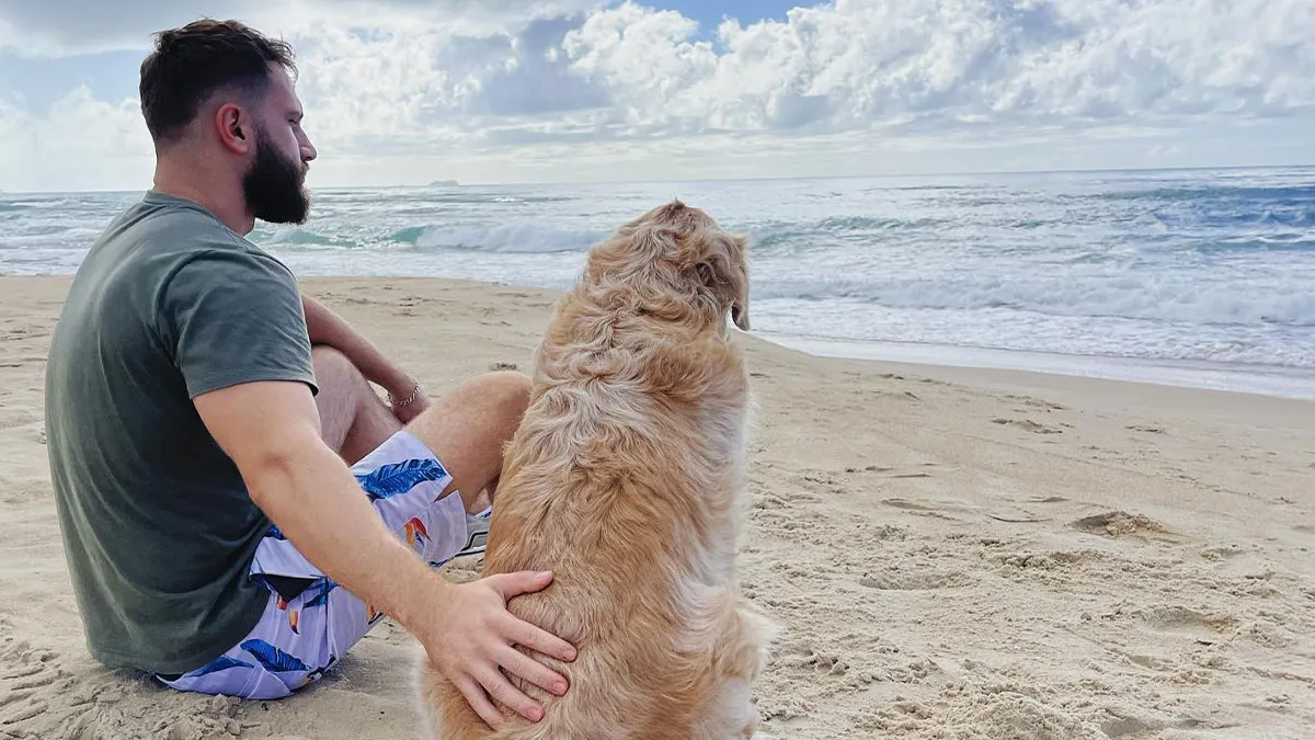 This Brave Golden Retriever Touched Thousands Of Lives Before Passing Away