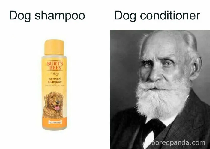 Sorry This Isn’t Funny