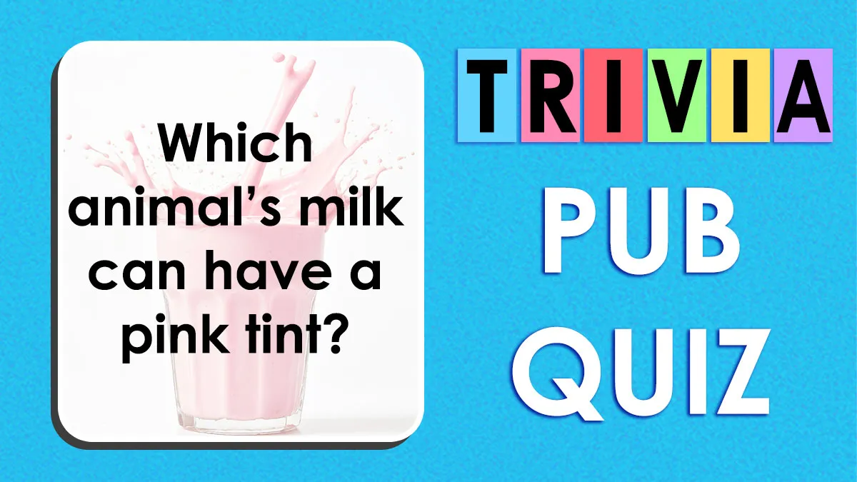 This Pub Quiz Will Challenge How Much You Know About Everything - Test Yourself