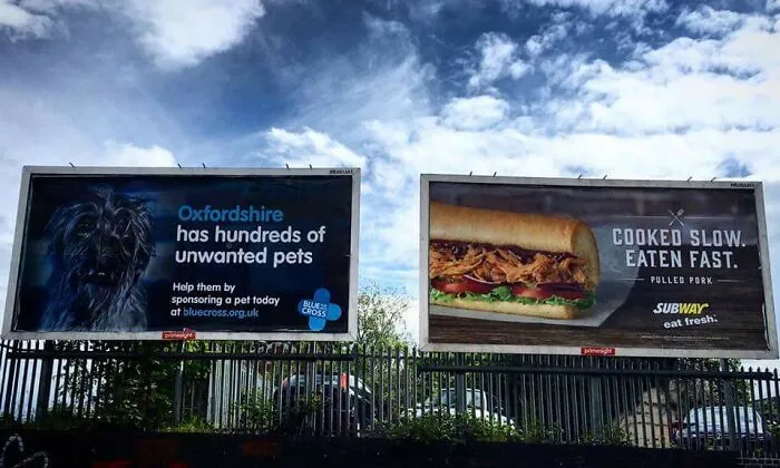 An Unfortunate Sign Placement Overseen In Oxford, England