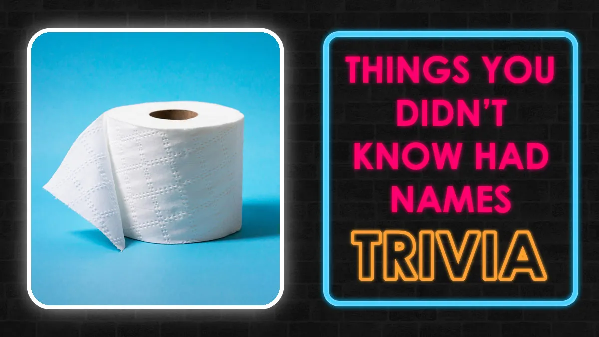 Challenge Your Hidden Knowledge IQ With This 30 Everyday Things Quiz