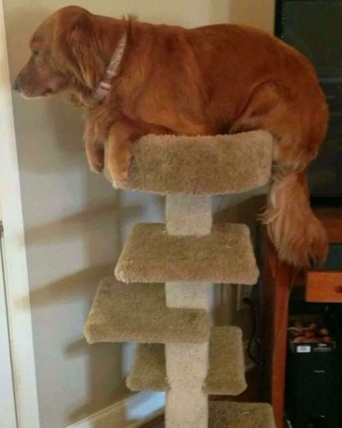 50 Pics So Weird And Funny They Might Make You Forget You Were Supposed To Be Productive Today