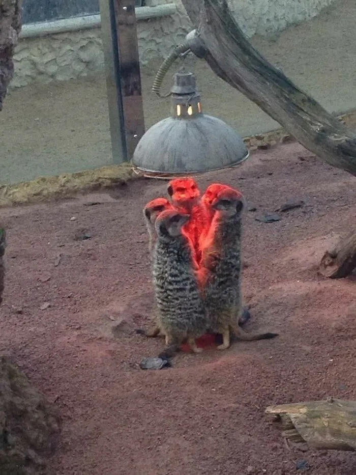 50 Pics So Weird And Funny They Might Make You Forget You Were Supposed To Be Productive Today