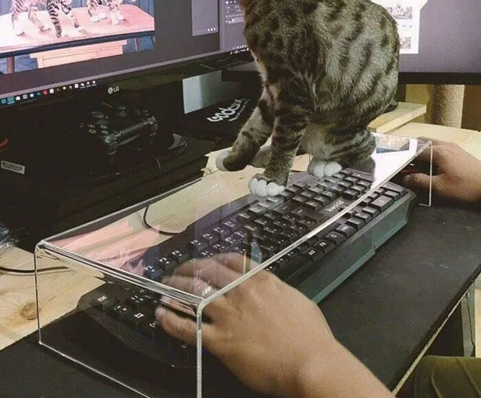 50 Pics So Weird And Funny They Might Make You Forget You Were Supposed To Be Productive Today