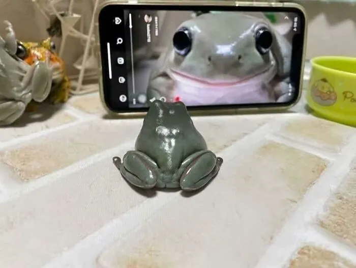 50 Pics So Weird And Funny They Might Make You Forget You Were Supposed To Be Productive Today