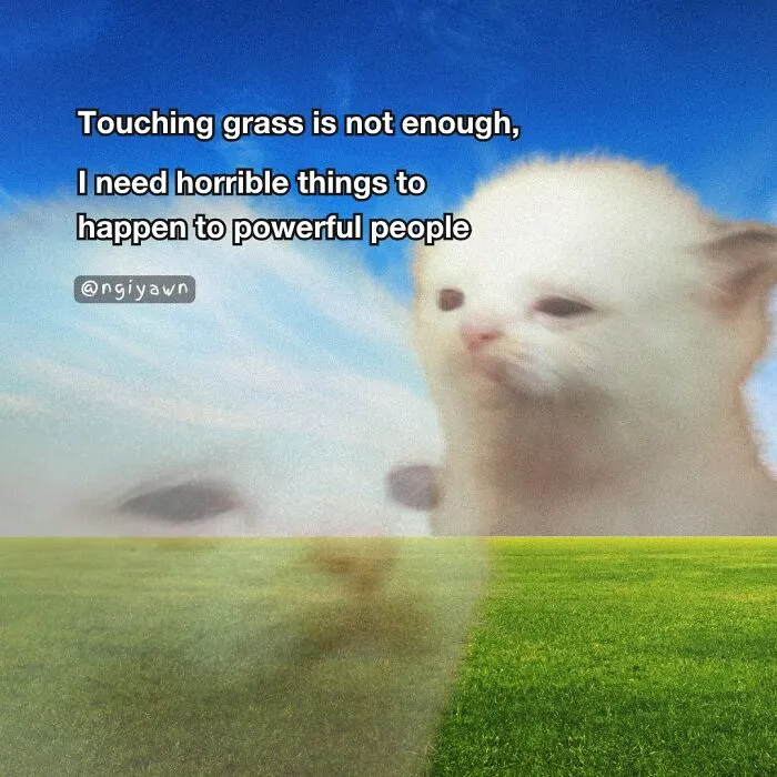 25 Hilariously Relatable Cat Memes That Are Probably Way Better Than Therapy