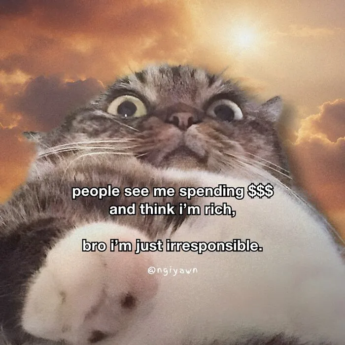 25 Hilariously Relatable Cat Memes That Are Probably Way Better Than Therapy
