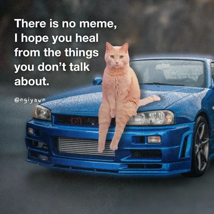 25 Hilariously Relatable Cat Memes That Are Probably Way Better Than Therapy