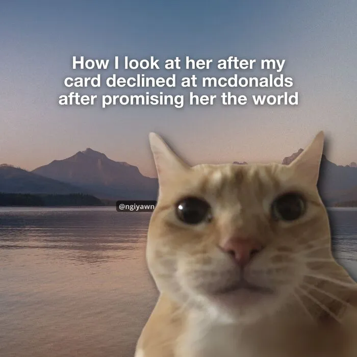 25 Hilariously Relatable Cat Memes That Are Probably Way Better Than Therapy