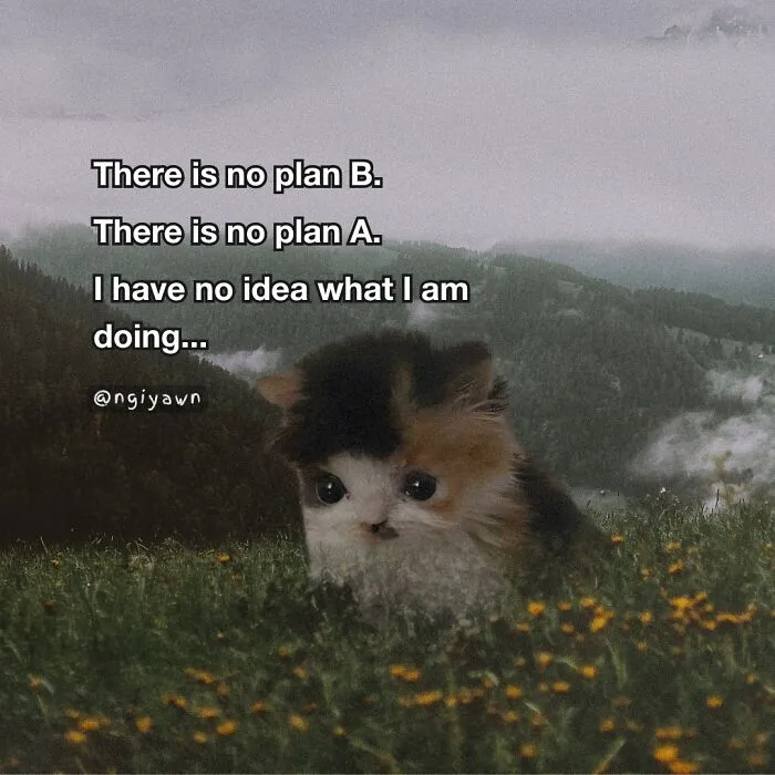 25 Hilariously Relatable Cat Memes That Are Probably Way Better Than Therapy