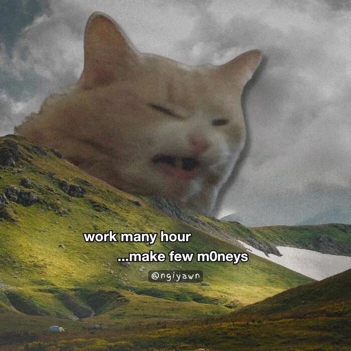 25 Hilariously Relatable Cat Memes That Are Probably Way Better Than Therapy