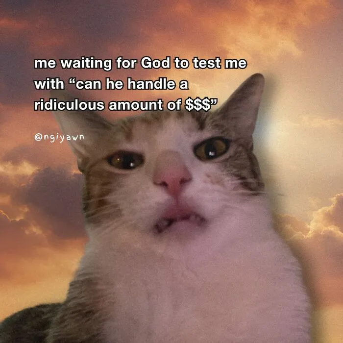 25 Hilariously Relatable Cat Memes That Are Probably Way Better Than Therapy