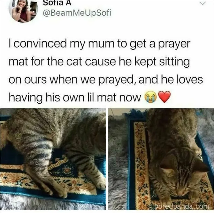 50 Uplifting Posts From This Instagram Page That Might Brighten Your Whole Day (New Pics)