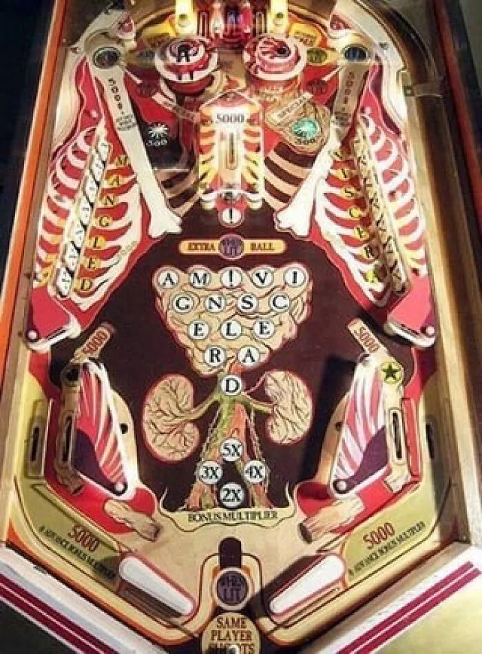 Una máquina de pinball de anatomía