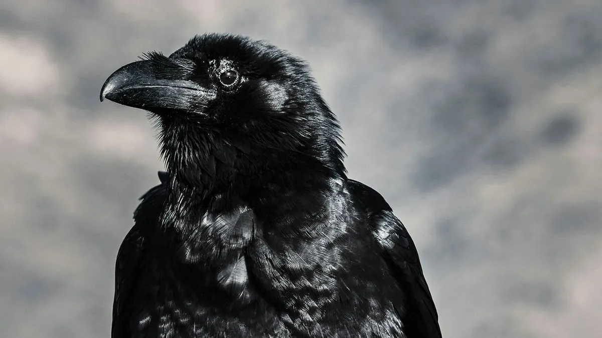 “It’s Just As Horrific As It Sounds”: 50 Disturbing Truths About Animals You Might Wish You Didn’t Know