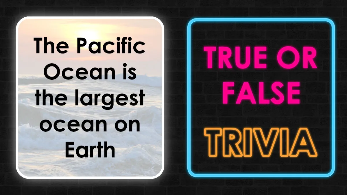 Prove Your IQ Is Above The Average With These 36 True-Or-False School Questions