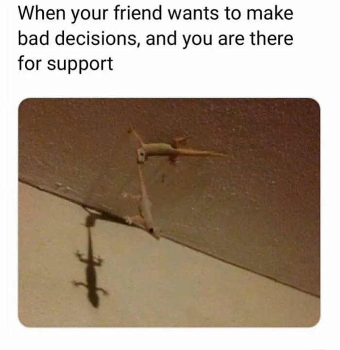 50 Hilarious And Relatable Posts From “Sky Babe Memes”