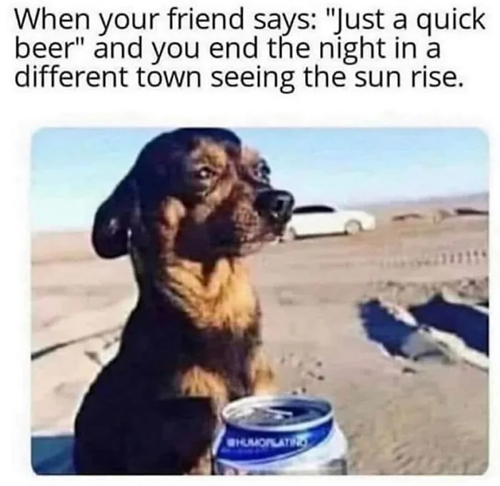 50 Hilarious And Relatable Posts From “Sky Babe Memes”