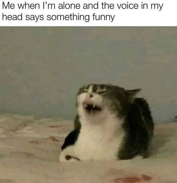 50 Hilarious And Relatable Posts From “Sky Babe Memes”