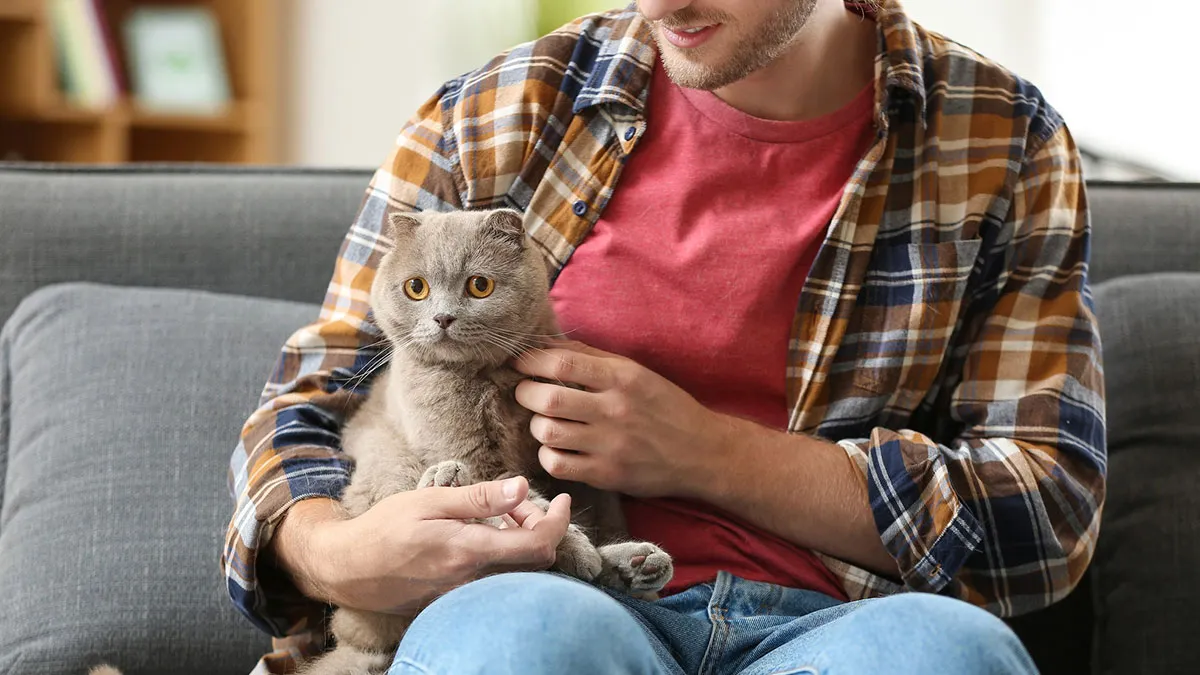 Man Cancels Date And Vacay With GF For His Sick Cat, She's Irked He Never Puts Her Before The Pet