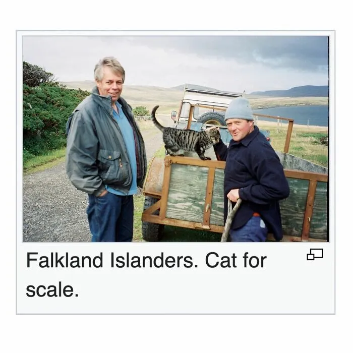 50 Times People Found Gems On Wikipedia That Were Too Funny Not To Share (New Pics)
