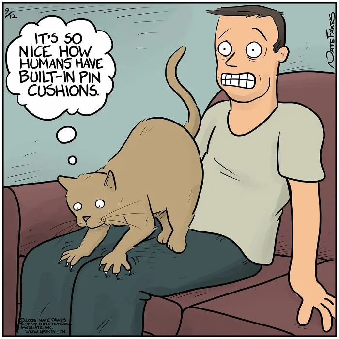 50 Comics By Nate Fakes That Are Equal Parts Funny And Relatable (New Pics)