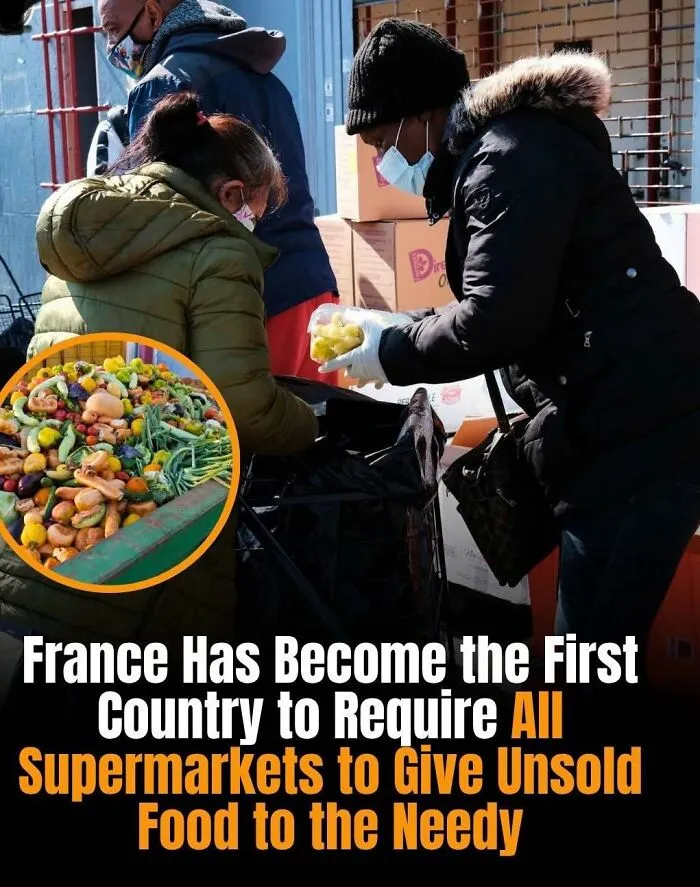 If You’re Hungry For New Knowledge, These 50 Facts Might Satisfy Your Appetite