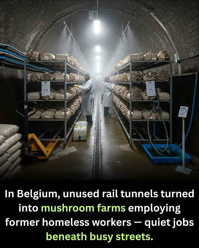 If You’re Hungry For New Knowledge, These 50 Facts Might Satisfy Your Appetite