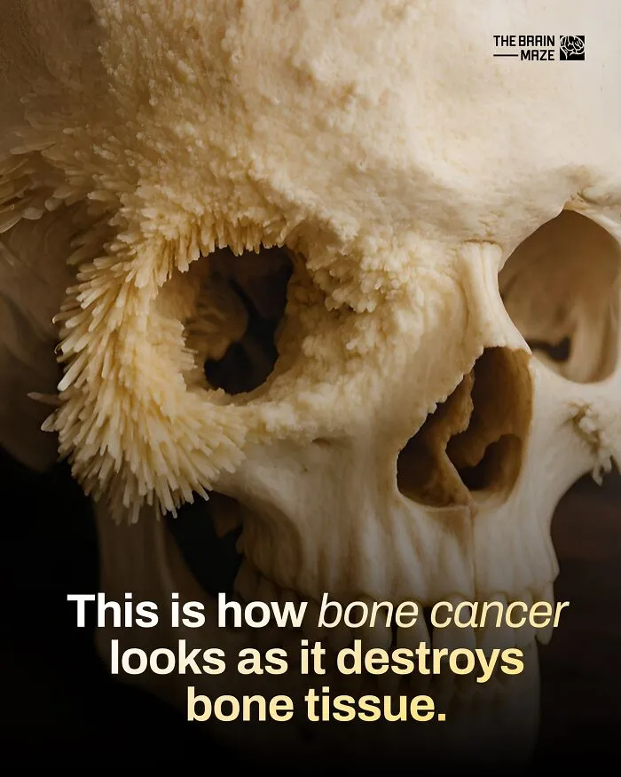 50 Interesting, Cool, And Disturbing Facts About The Mind And Body, As Shared By This FB Page