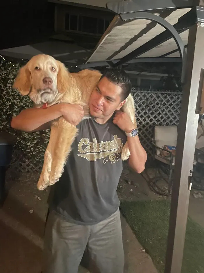 Man carrying large dog over his shoulders in backyard, one of the awkward photos of pets people shared online.