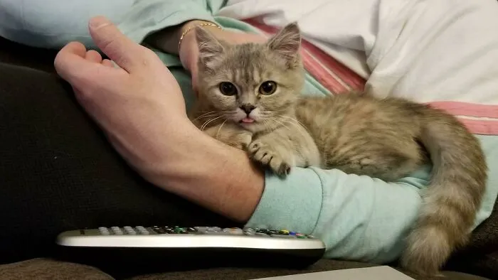 Our Brand New Little Girl Blepped In Just 4 Days