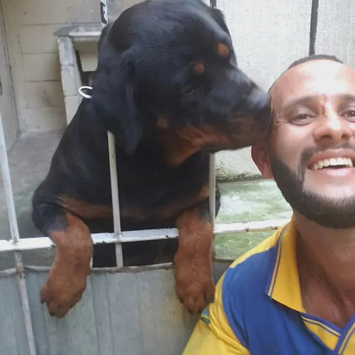 This Kind Mailman Stops To Befriend Dogs During His Deliveries, And It Might Melt Your Heart (50 Pics)