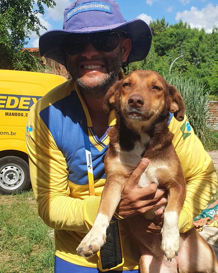 This Kind Mailman Stops To Befriend Dogs During His Deliveries, And It Might Melt Your Heart (50 Pics)