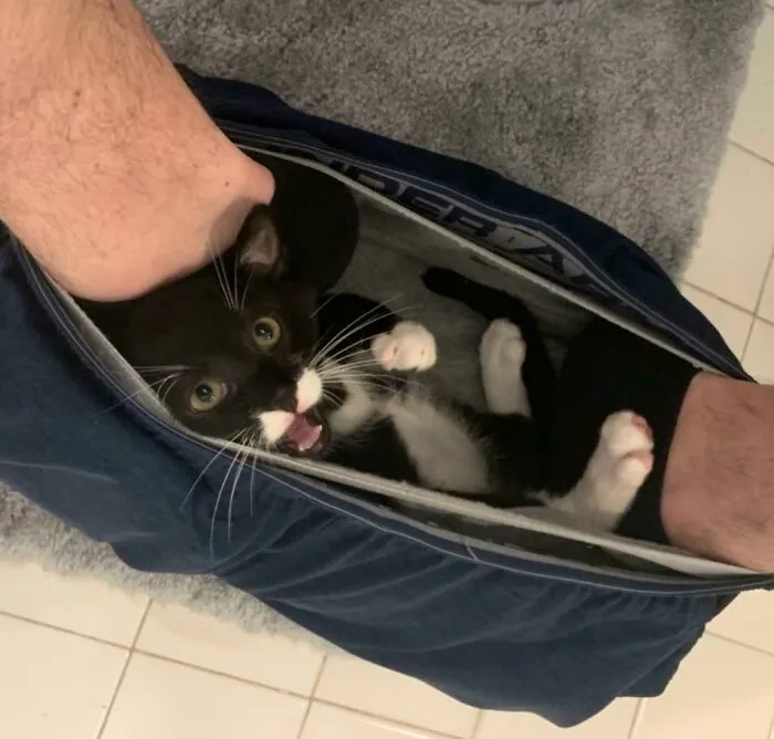 Professor Jigglesworth Doesn’t Understand Privacy