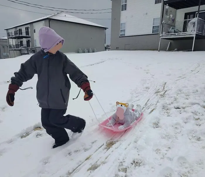  The Fastest Way To Tire Out A Child With A Severe Case Of The Snow Day Zoomies Involves A <a Style="Display:inline;" Href="Https://Www.amazon.com/Best-Choice-Products-Plastic-Toboggan/Dp/B0dmvc5jtm?ie=utf8&th=1&linkcode=ll1&tag=bpgoose-20&linkid=dcee683354bccf38cd4ae570dc46a16c&language=en_us&ref_=as_li_ss_tl" Target="_blank">  <span Style="Font: Inherit; Color: #d74b1f;"> Plastic Toboggan Snow Sled </Span>