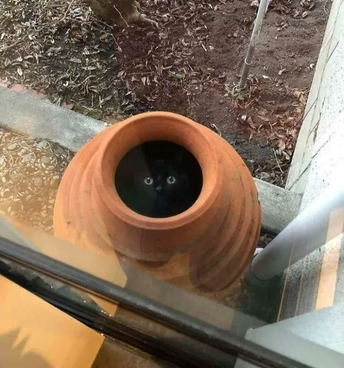 Magic Void Liquid Is Stored