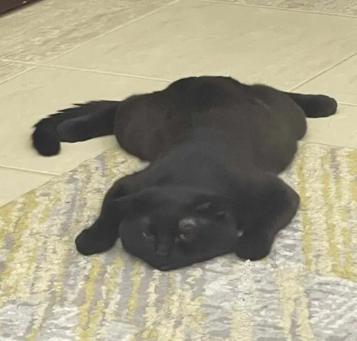 Someone Told Me You Guys Would Love Honey! He Loves This Position