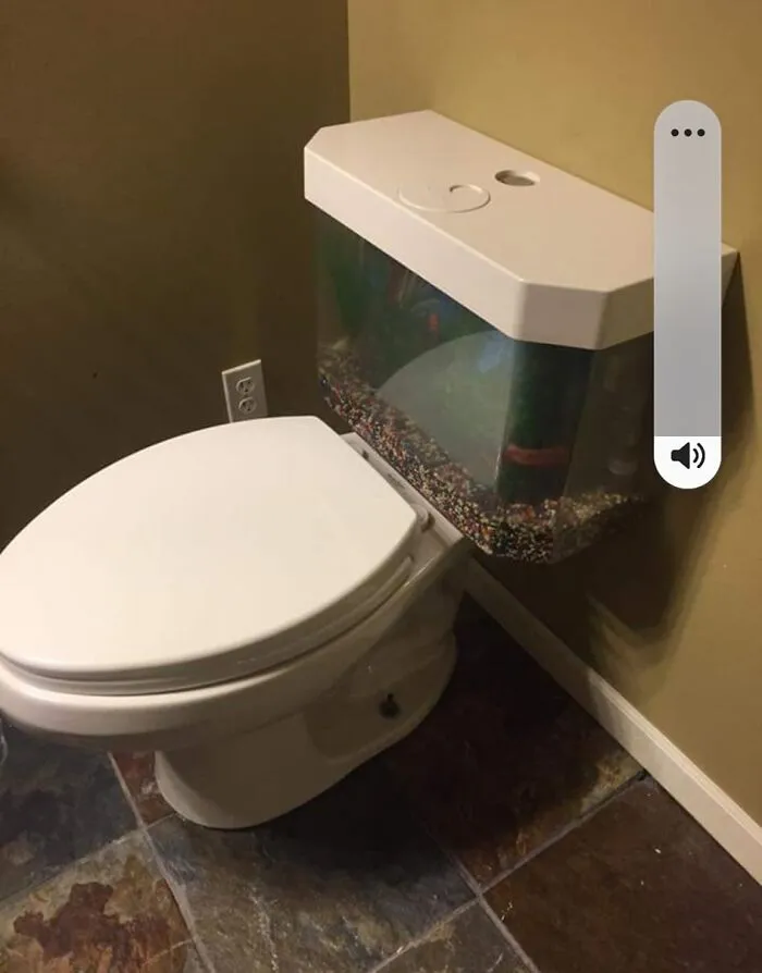 Inodoro con tanque de agua que parece una pecera, ejemplo de listados de Zillow tan malos que parecen falsos.