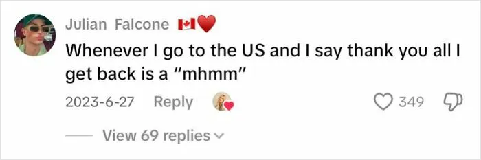 Comment from Canadian user joking about US response to thank you, illustrating Canada roasted America accurately and humorously online.