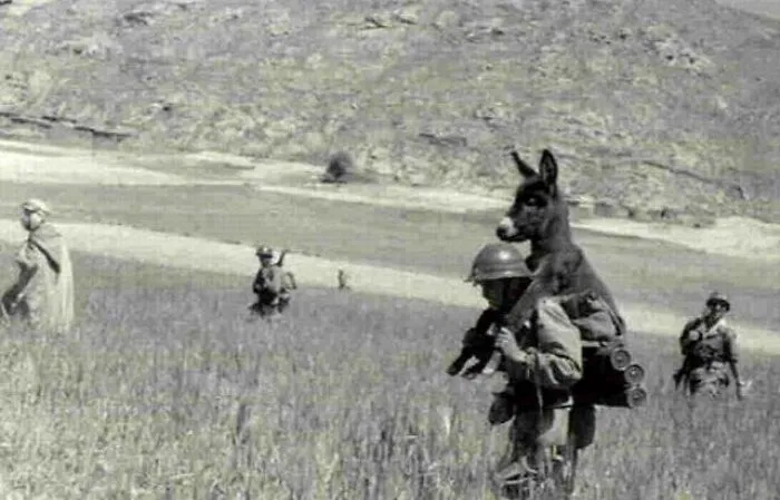 De la Guerra de Argelia (1958)... Un soldado de la Legión Extranjera Francesa cargaba con un burro hambriento... Lo rescataron y más tarde el burro se convirtió en la mascota de su unidad, con el nombre de 'Bambi'.