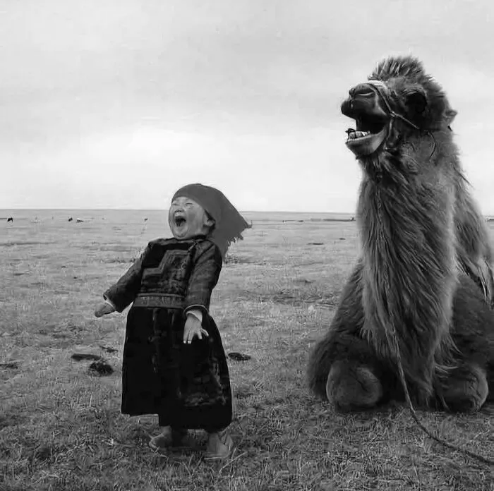 Una niña mongola riendo con su camello. La pequeña se llama Butedmaa y tenía solo 5 años cuando el fotógrafo Han Chengli tomó esta fotografía en 2003.